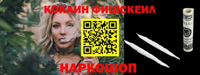 тгк Камышлов